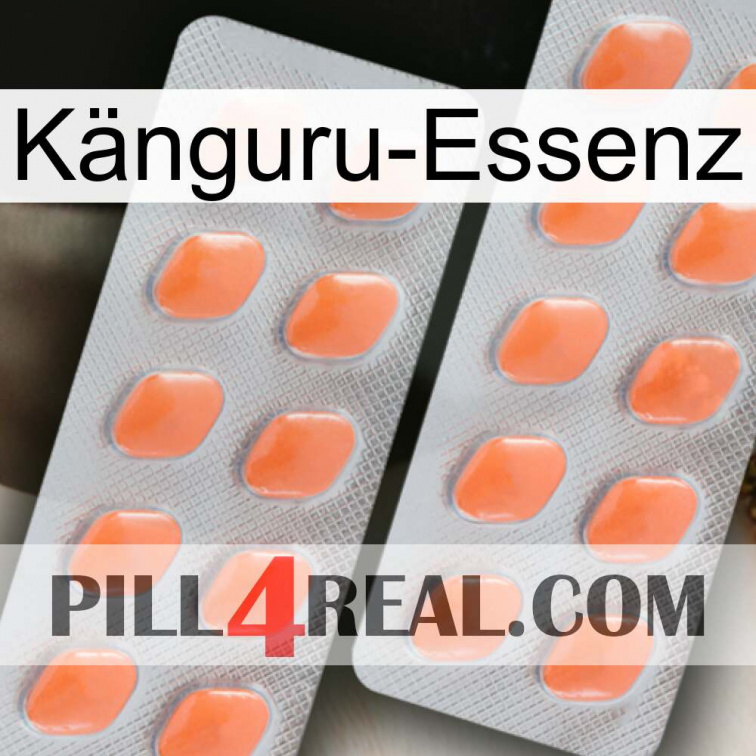 Känguru-Essenz 27